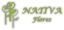 Nativa Flores
